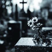 Ритуальні послуги в Харкові від Ritual Plus